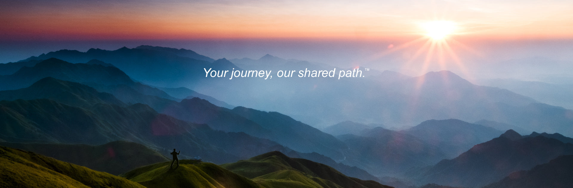 Tai Chi Daily - Your journey, our shared path.™