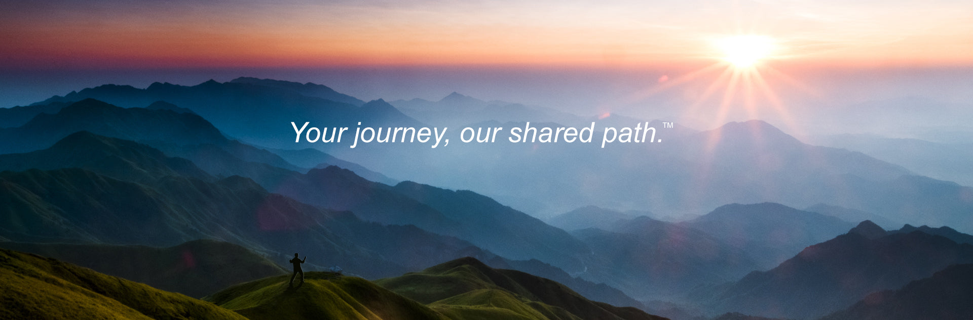 Tai Chi Daily - Your journey, our shared path.™